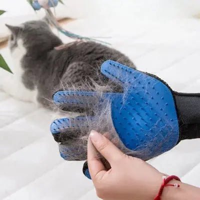 Brosse chat CâlinGant™ – Gant de toilettage doux et efficace pour chat CatLoversBoutique.com