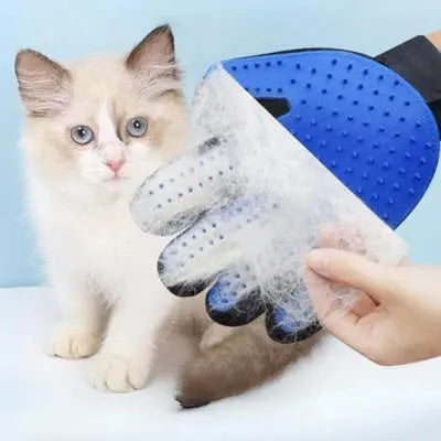 Brosse chat CâlinGant™ – Gant de toilettage doux et efficace pour chat CatLoversBoutique.com
