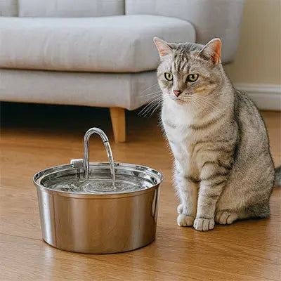 Fontaine à Eau Chat FontaineMiaou™ – Acier Inoxydable, Silencieuse & Élégante CatLoversBoutique.com
