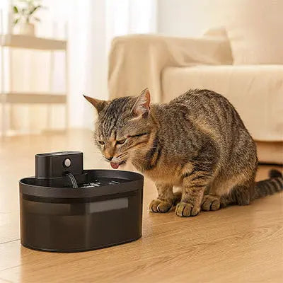 Fontaine à eau Chat AquaChic™ – Intelligente & Silencieuse CatLoversBoutique.com