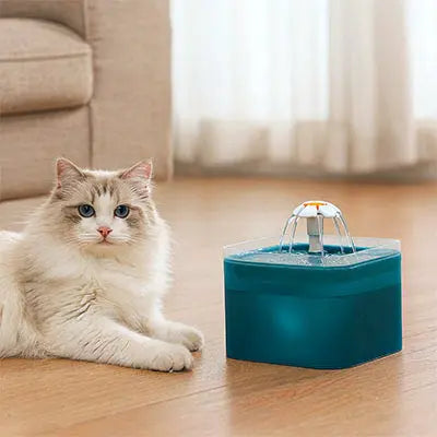 Fontaine à eau Chat AquaMia™ – Design Élégant & Eau Saine CatLoversBoutique.com