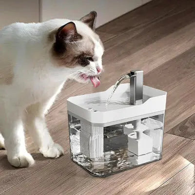 Fontaine a eau chat | chatDrinxyâą CatLoversBoutique.com