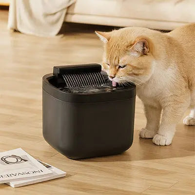 Fontaine eau chat | Fontea™ CatLoversBoutique.com