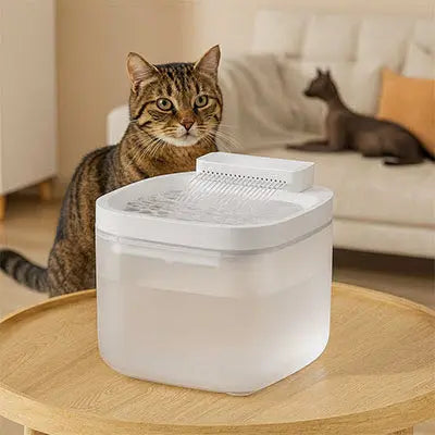 Fontaine eau chat | Fontea™ CatLoversBoutique.com