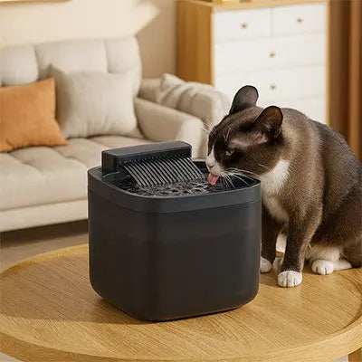 Fontaine eau chat | Fontea™ CatLoversBoutique.com