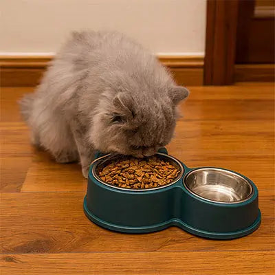 Gamelle pour chat | DuoMiaou™ CatLoversBoutique.com