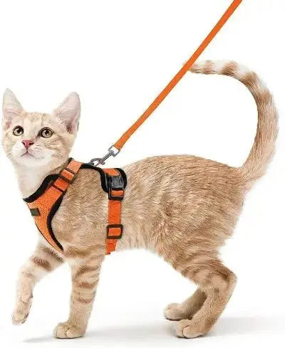 Harnais Chat - Reddigood™ - CatLoversBoutique.com