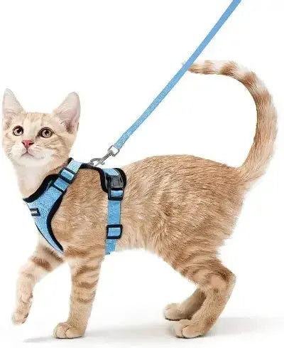 Harnais Chat - Reddigood™ - CatLoversBoutique.com
