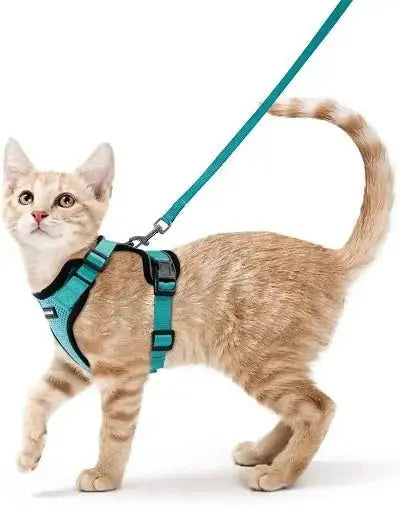 Harnais Chat - Reddigood™ - CatLoversBoutique.com