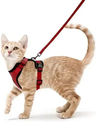 Harnais Chat - Reddigood™ - CatLoversBoutique.com