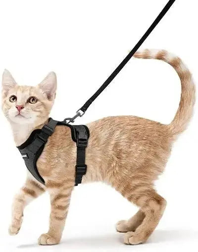 Harnais Chat - Reddigood™ - CatLoversBoutique.com