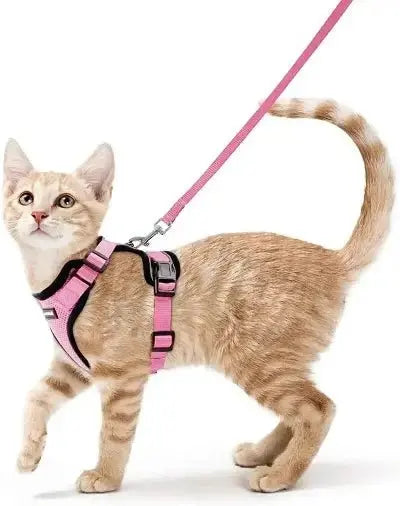 Harnais Chat - Reddigood™ - CatLoversBoutique.com