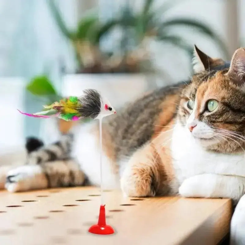 Jouet Pour chat à ressort et ventouse - ToyStick™ - CatLoversBoutique.com