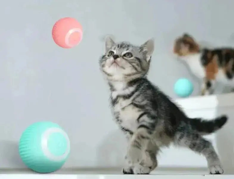 Jouet pour chat | AutoBall™ - Balle intelligente - CatLoversBoutique.com