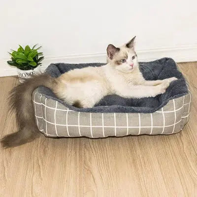 Panier Chat | CloudyCat™ CatLoversBoutique.com