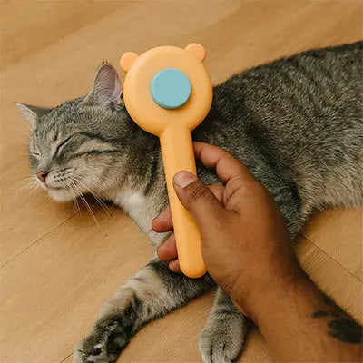 Brosse Chat | ChatBrush™ CatLoversBoutique.com