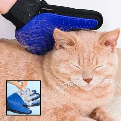 Brosse chat CâlinGant™ – Gant de toilettage doux et efficace pour chat CatLoversBoutique.com