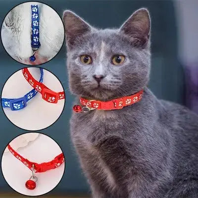 Collier Chat - SécuraBell™ - CatLoversBoutique.com