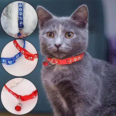 collier-chat-securaBell-joli