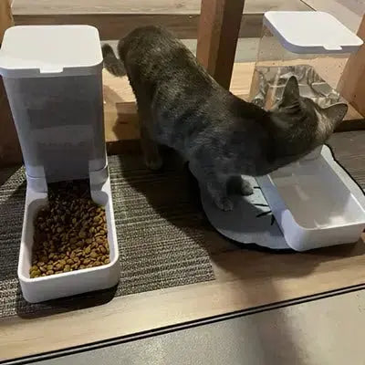 Distributeur de croquettes pour chat - MiaouMatic™ - CatLoversBoutique.com