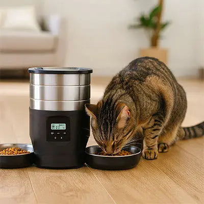 Distributeur de croquettes pour chat | MunchiCat™ CatLoversBoutique.com