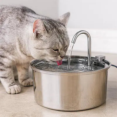 Fontaine à Eau Chat FontaineMiaou™ – Acier Inoxydable, Silencieuse & Élégante CatLoversBoutique.com