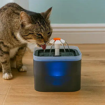 Fontaine à eau Chat AquaMia™ – Design Élégant & Eau Saine CatLoversBoutique.com