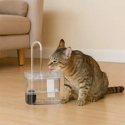 Fontaine à eau chat | AquaMiaou™ CatLoversBoutique.com