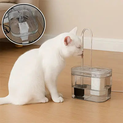 Fontaine à eau chat | AquaMiaou™ CatLoversBoutique.com