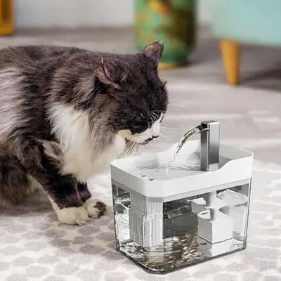 Fontaine a eau chat | chatDrinxy™ CatLoversBoutique.com