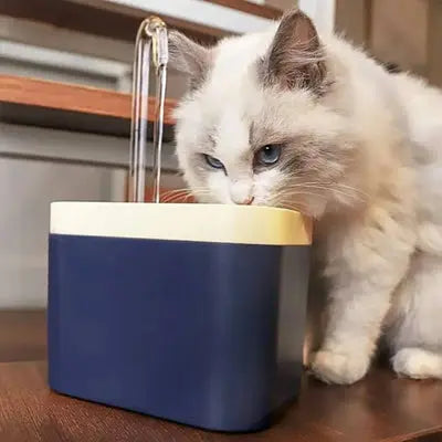 Fontaine eau chat JardinEau™ – Silencieuse Compacte et Élégante CatLoversBoutique.com