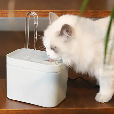 Fontaine eau chat JardinEau™ – Silencieuse Compacte et Élégante CatLoversBoutique.com