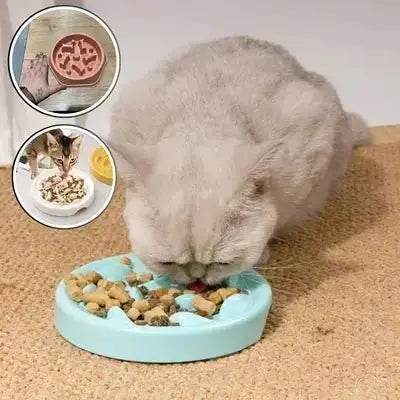 Gamelle Anti Glouton Chat - Chrono - Bowl™ - CatLoversBoutique.com