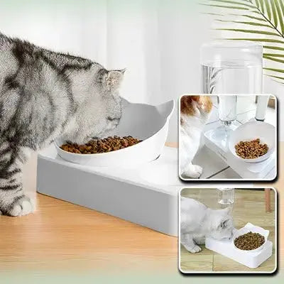 Gamelle Chat - 2 en 1 Duocatbol™ - CatLoversBoutique.com