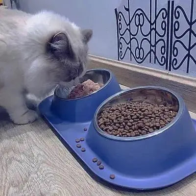 Gamelle chat - CroqDuo™ - CatLoversBoutique.com