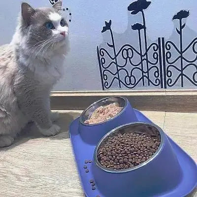 Gamelle chat - CroqDuo™ - CatLoversBoutique.com