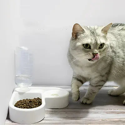Gamelle chat |  Meal&Drink™ CatLoversBoutique.com
