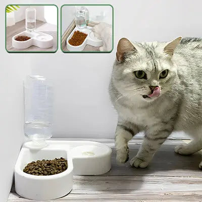 Gamelle chat |  Meal&Drink™ CatLoversBoutique.com