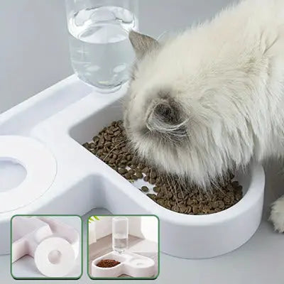 Gamelle chat |  Meal&Drink™ CatLoversBoutique.com