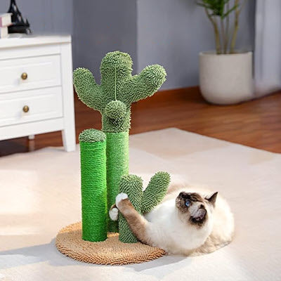Griffoir chat CactusClaw – Cactus décoratif 04
