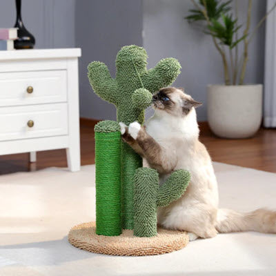 Griffoir chat CactusClaw – Cactus décoratif 03
