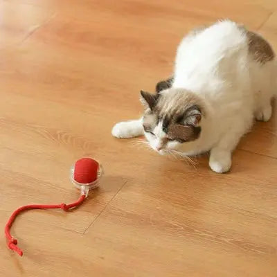 Jouet Pour Chat FéliBall™ -Balle Interactive Pour Chat Captivante CatLoversBoutique.com
