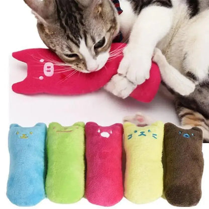 Jouet Pour Chat à Mâcher - PetTeeth™ - CatLoversBoutique.com