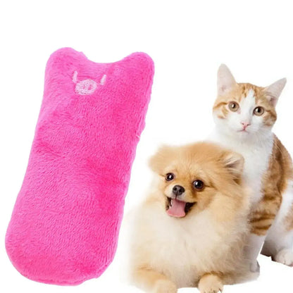 Jouet Pour Chat à Mâcher - PetTeeth™ - CatLoversBoutique.com