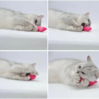 Jouet Pour Chat à Mâcher - PetTeeth™ - CatLoversBoutique.com