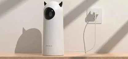 Jouet laser pour chat - CatLoversBoutique.com