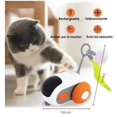 Jouet pour chat voiture télécommandée PawRacer™ - CatLoversBoutique.com