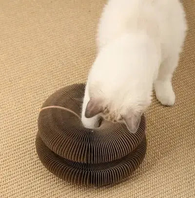 Jougrif ™ - Jouet pour Chat conçu pour captiver votre chat dès sa première utilisation - CatLoversBoutique.com