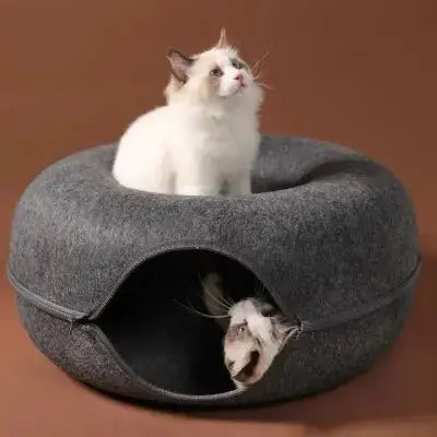 Lit Chat - ChatDonut™ - CatLoversBoutique.com