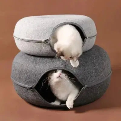 Lit Chat - ChatDonut™ - CatLoversBoutique.com
